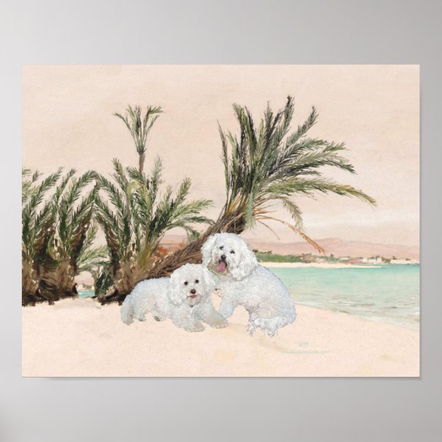 Bichon Frise Palmy Beach Poster (Front)