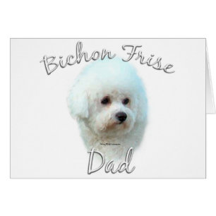 Bichon Frise Papa 2