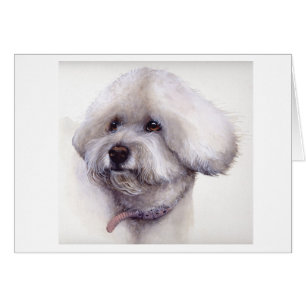 Bichon Frise peint en aquarelle