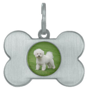 Bichon Frise Pet ID Tag