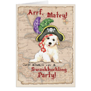 Bichon Frise Pirate