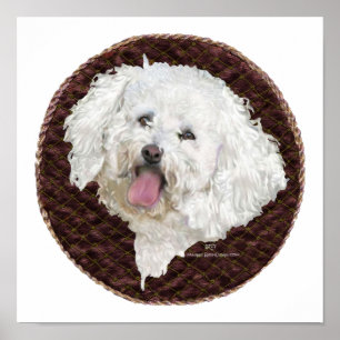 Bichon Frise Portrait Poster