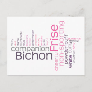 Bichon Frise Postcard