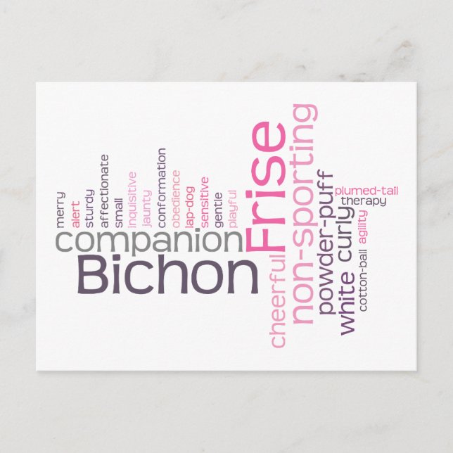 Bichon Frise Postcard (Front)