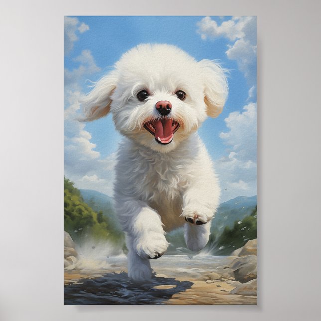 Bichon Frise Poster (Front)