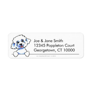 Bichon Frise propre et simple