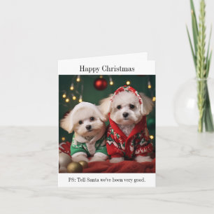 Bichon Frise Puppies Bonne Carte de Noël