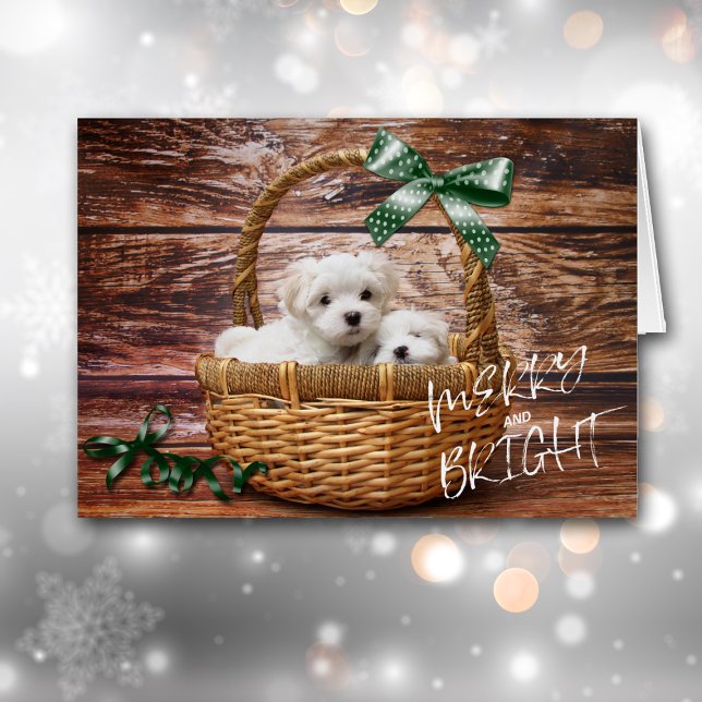 Bichon Frise Puppies dans le panier Carte de Noël (Créateur téléchargé)