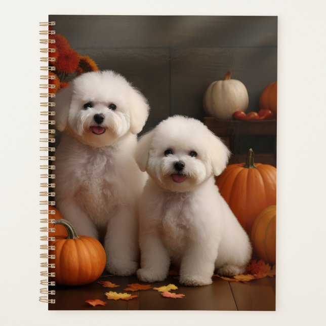 Bichon Frise Puppy Automne Citrouille délice (Devant)