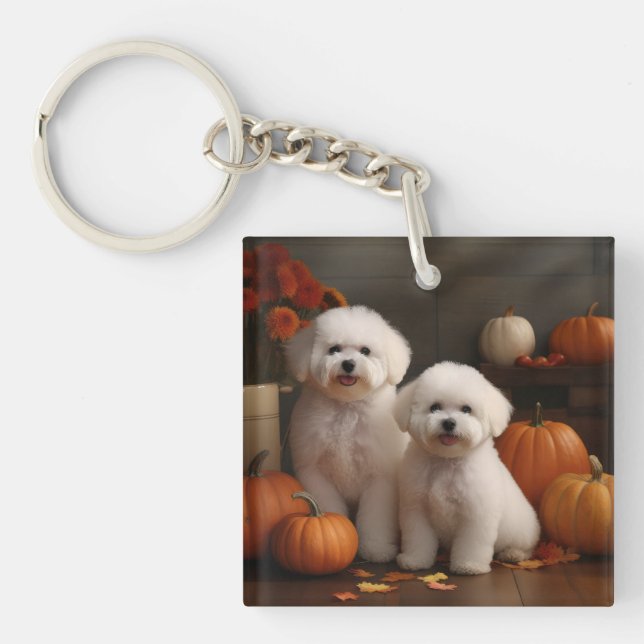 Bichon Frise Puppy Automne Citrouille délice (Devant)