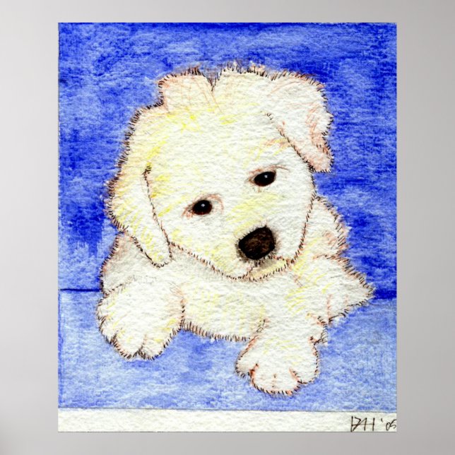 Bichon Frise Puppy Dog Portrait Poster (Front)