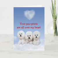 Bichon Frise Puppy Love Card
