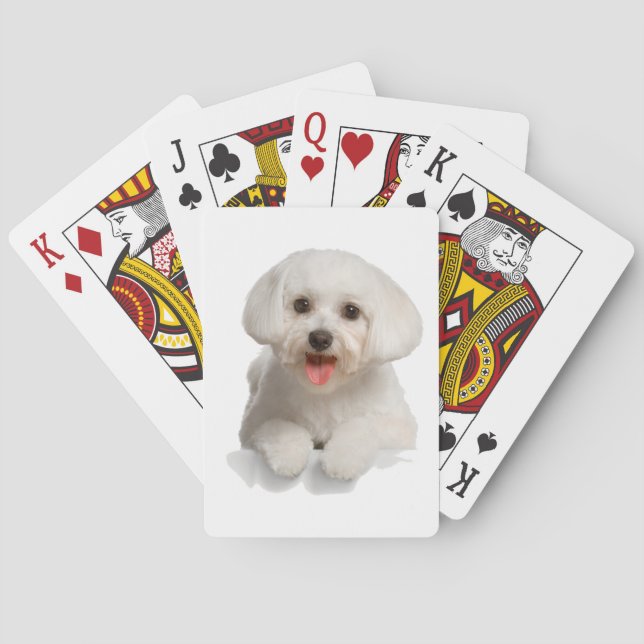 Bichon Frise Puppy Playing Cards (Back)