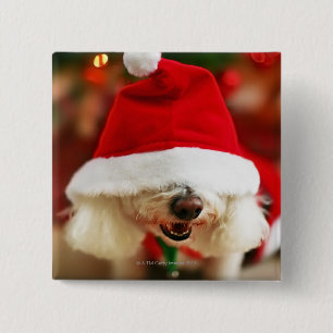 Bichon Frise puppy wearing Santa costume 2 Inch Square Button