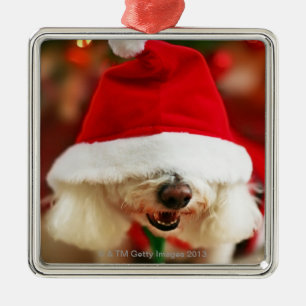 Bichon Frise puppy wearing Santa costume Metal Ornament