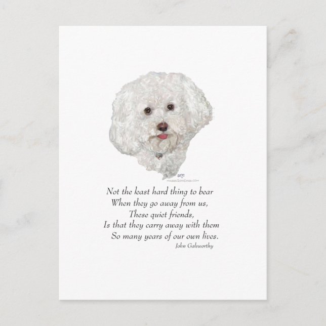 Bichon Frise Rainbow Bridge Postcard (Front)