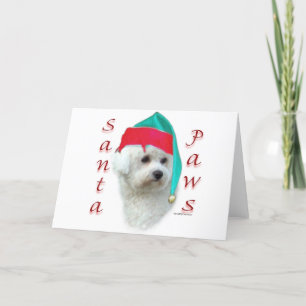 Bichon Frise Santa Paws Holiday Card