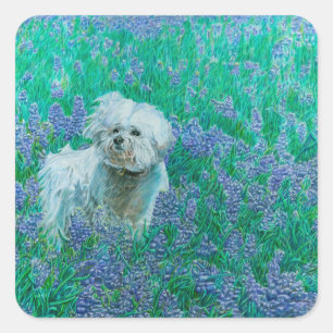 Bichon Frise Square Sticker