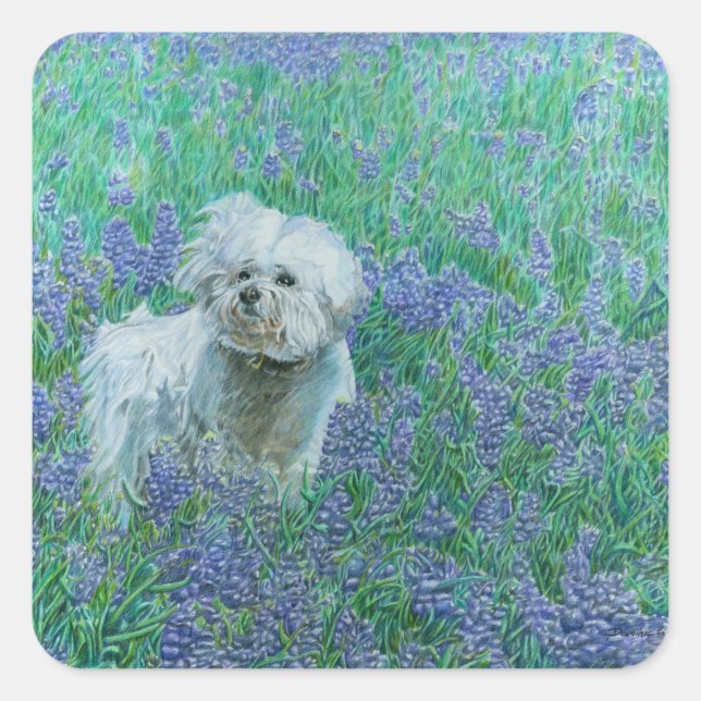 Bichon Frise Square Sticker (Front)