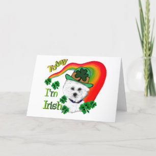 Bichon Frise St. Patrick's Day Card
