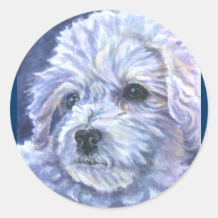 Bichon Frise Stickers