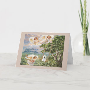 Bichon Frise Sympathy Card