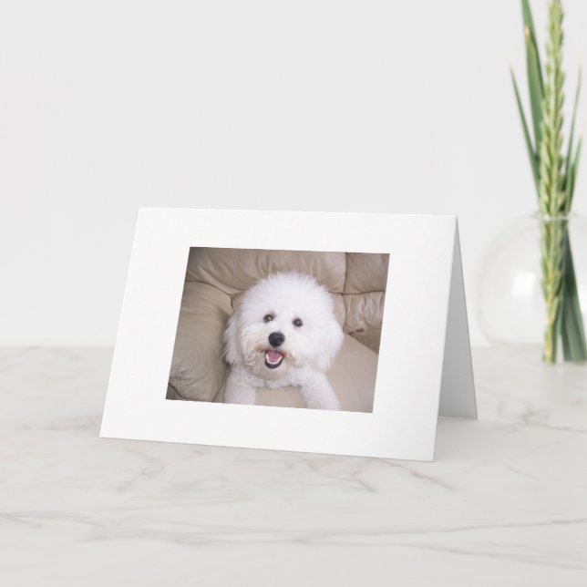 Bichon Frise Thank You Card (Front)