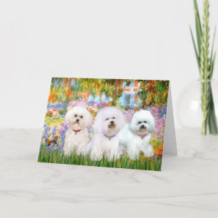 Bichon Frise Trio - Garden (VG) Card