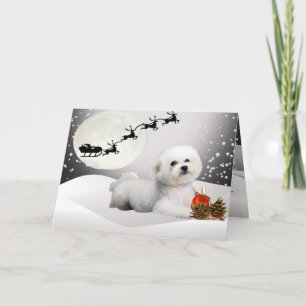 Bichon Frise une carte de voeux de Joyeux Noël