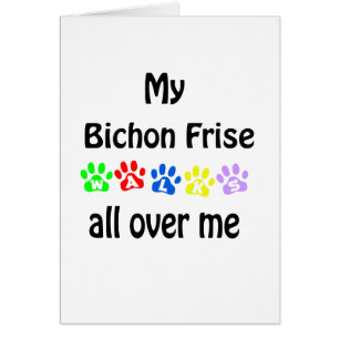 Bichon Frise Walks Design