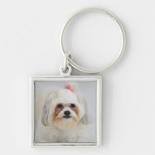 bichon frise with a pink bow in it's hair keychain