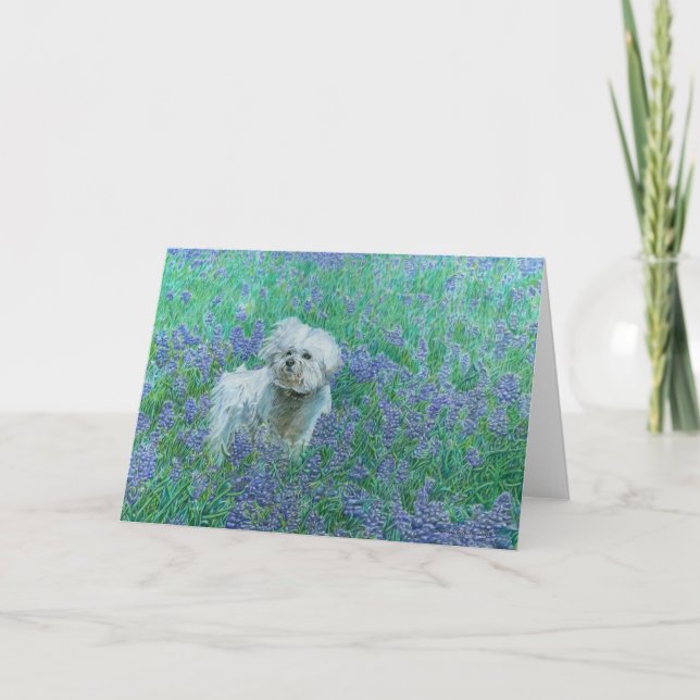 Bichon in Bluebonnets Greeting Card (Front)