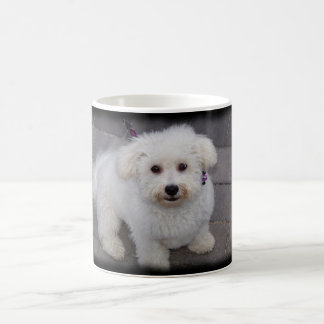 bichon mug