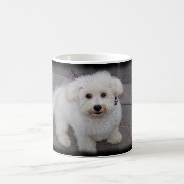 bichon mug (Center)