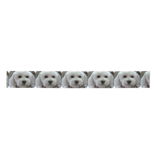 bichon poodle satin ribbon