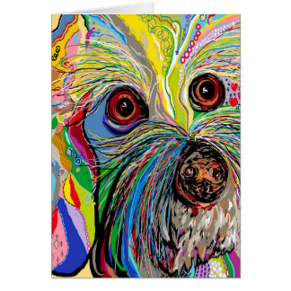 Bichon  . . .  Shoe Man