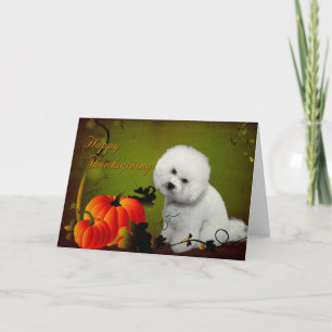 Bichon Thanksgiving Card