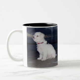Bichons At Dusk Two-Tone Coffee Mug