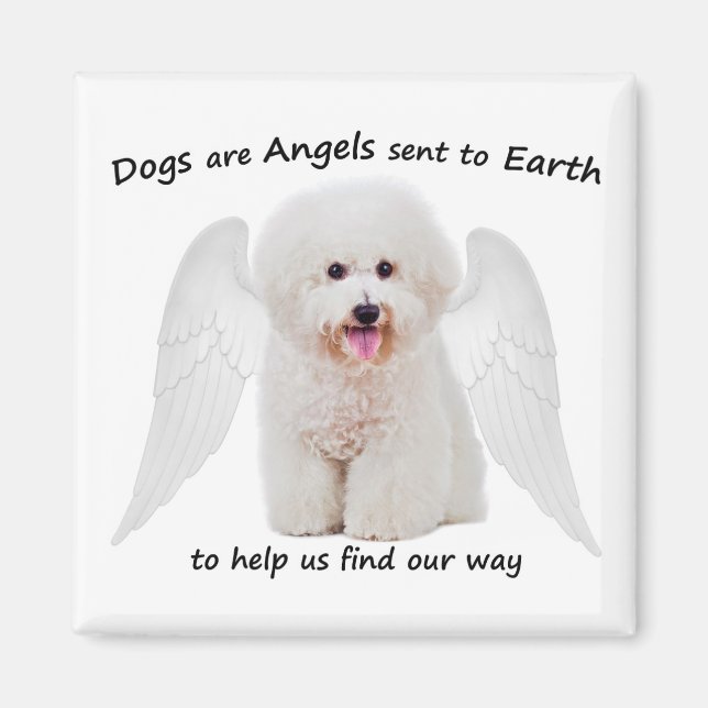Bichons sont Angels Magnet (Devant)