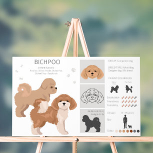 Bichpoo, Poochon, Bichon Poodle dog mix Acrylic Sign
