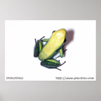 Bicolor Poster