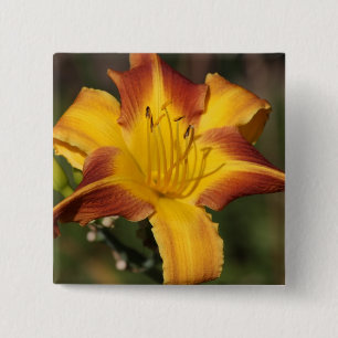 Bicolor yellow and red ornamental lily 2 inch square button