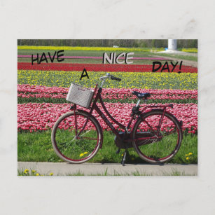Bicycle at Tulips Field Have a Nice Day Postcard