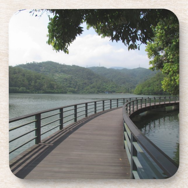 Bicycle Bridge Over Water Coaster (Front)