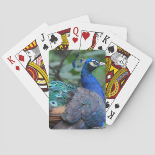 Bicycle Card Template - Customized