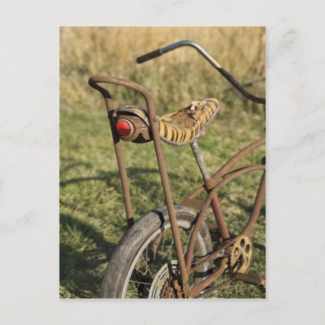 Bicycle Cycle Bicycling Cycling Banana Cruiser Postcard (Front)