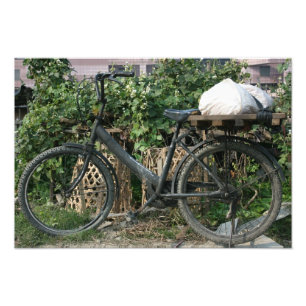 Bicycle in Taipei garden, Taiwan Photo Print