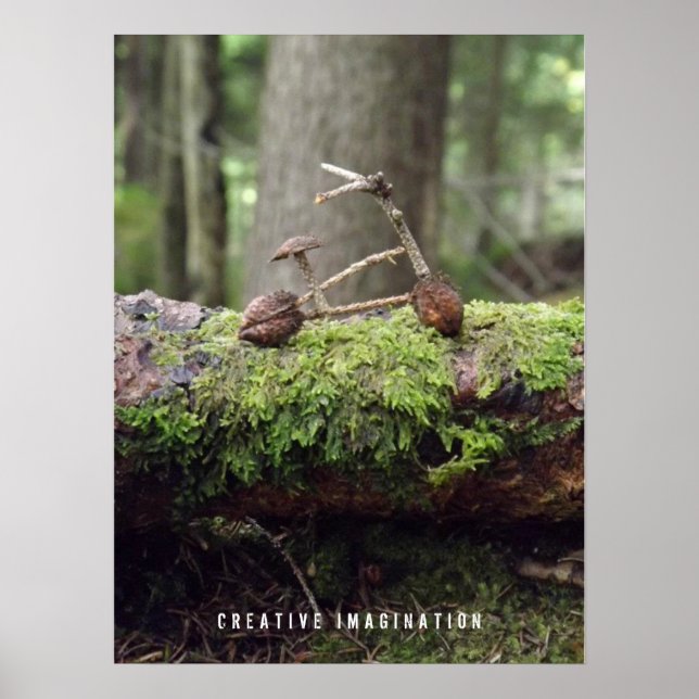 Bicycle Poster (Front)