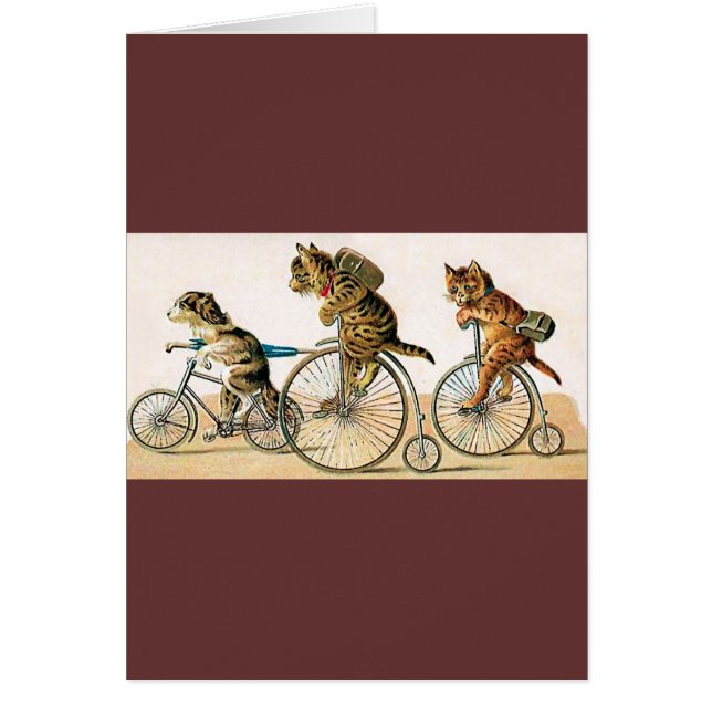 Bicycle Ride (Front)