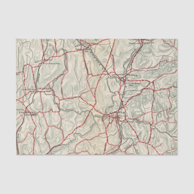 Bicycle Roads in New York and Conneticut 12 Tissue Paper (Front)